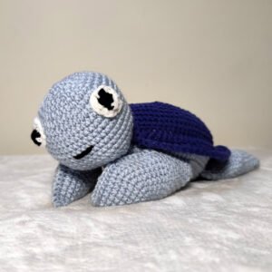 ST3 WEB 77 Xelona Ble 1