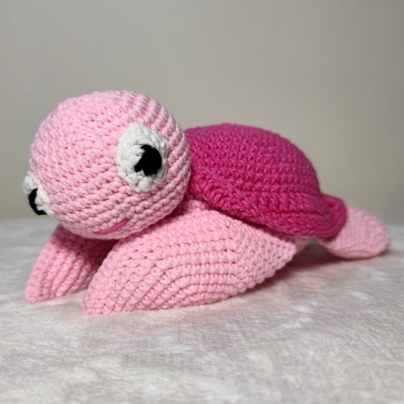 ST3 WEB 78 Xelona Roz 1